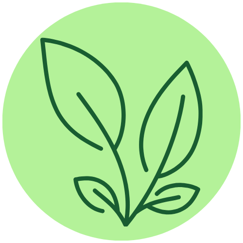 Proposta pé no chão da escola de educação infantil jardim