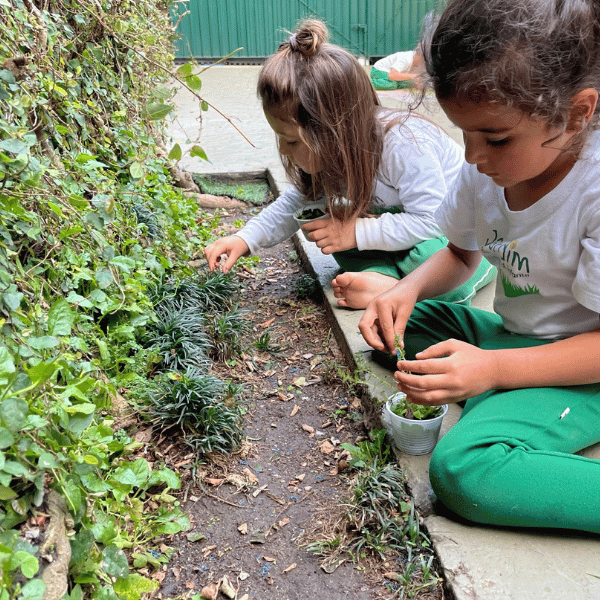 Crianças na horta