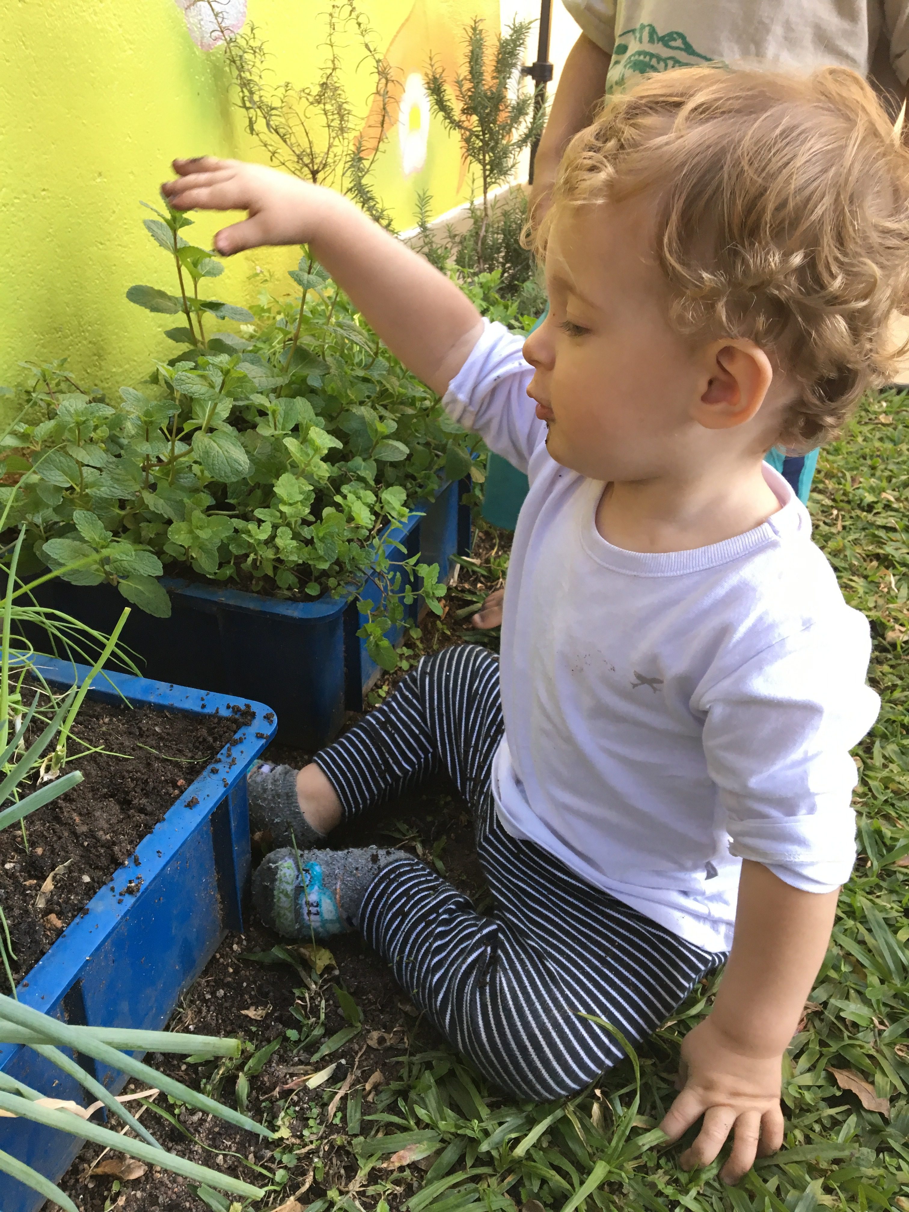 Criança explorando a horta na Jardim