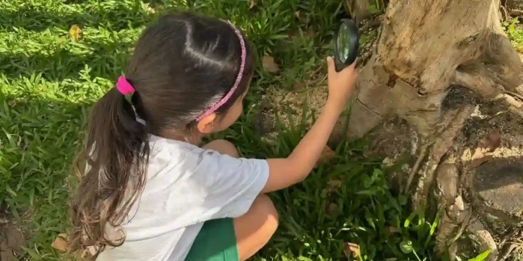 Hero- Jardim berçário e educação Infantil - Escola particular - Vila Leopoldina