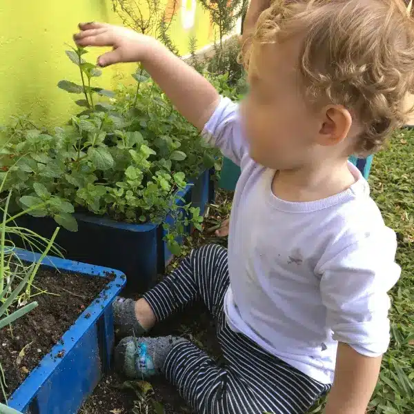 Criança explorando a horta na Jardim