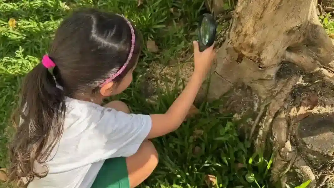 Criança explorando a natureza com uma lupa - Jardim Berçário e Educação Infantil