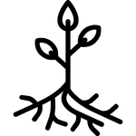 Ícone raiz
